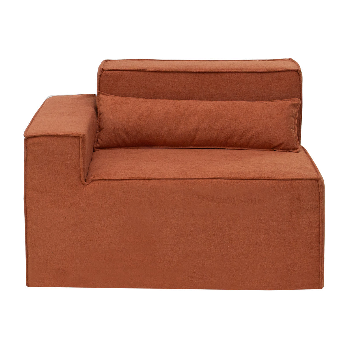 Braço Esquerdo  - Paladium