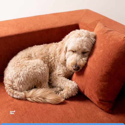 Poltrona Comfy Multifuncional com Porta-Copos Tecido Bouclé