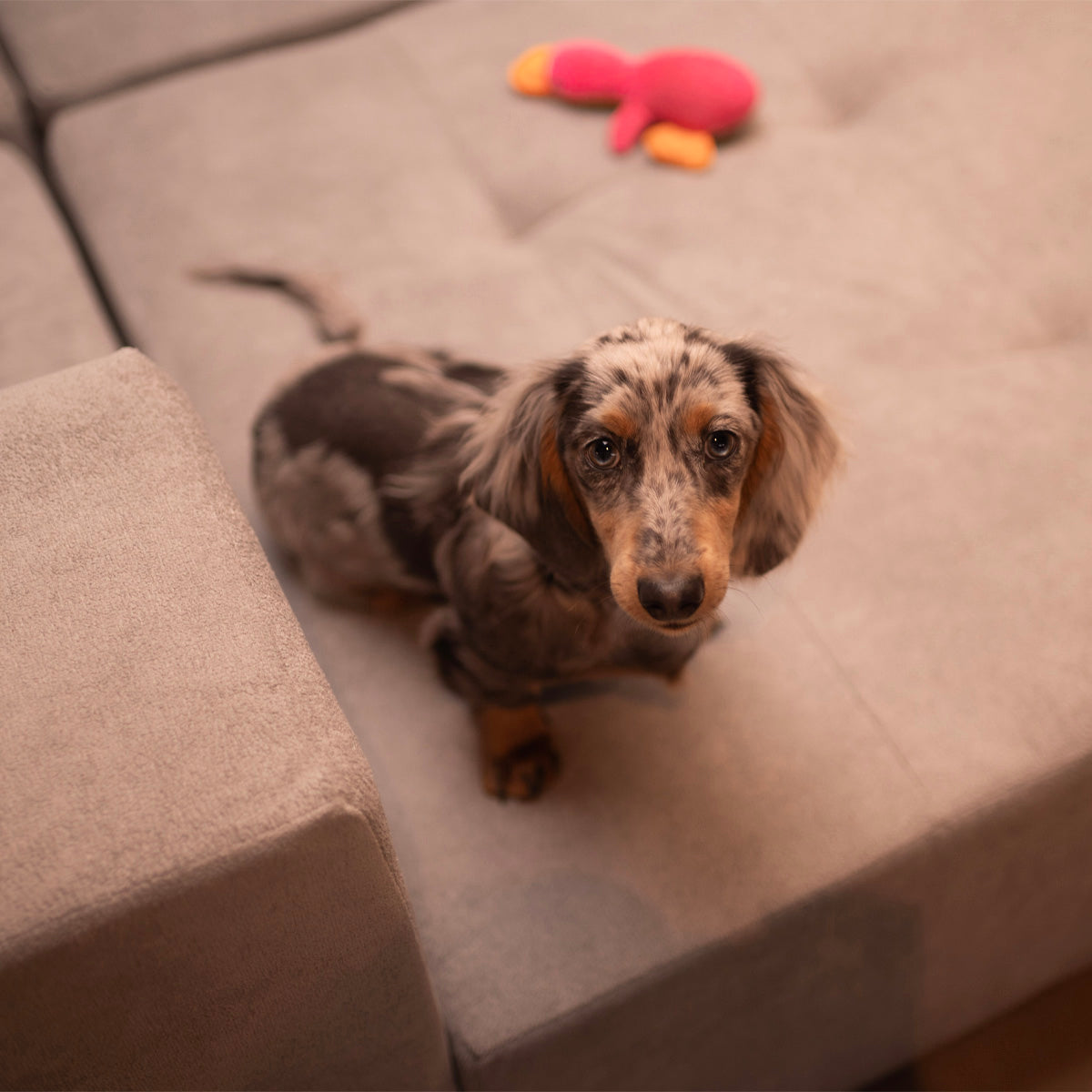 Sofá 4 Módulos Selano