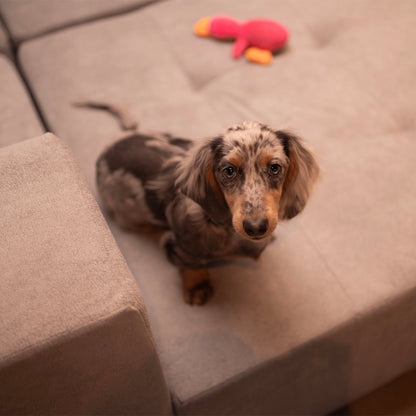 Sofá 4 Módulos Selano