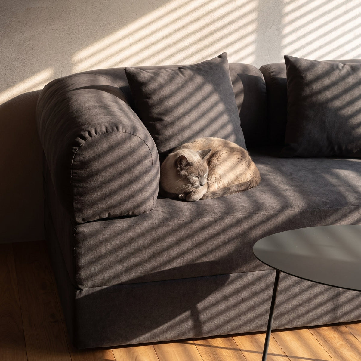 Sofá Cama Mobbi Dobrável veludo Modifika 160x180 cm